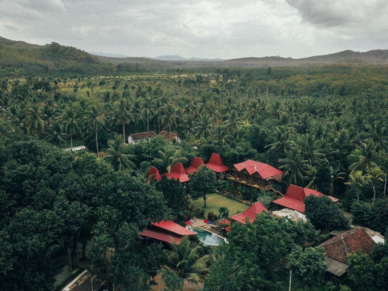 Mojosurf Camp Red Island Hotell Pasanggaran Eksteriør bilde